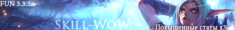 Skill-WoW Banner