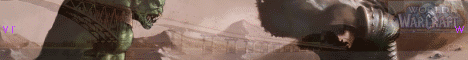  World of Warcraft 2.4.3 Banner