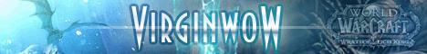 VIRGIN WORLD OF WARCRAFT Banner