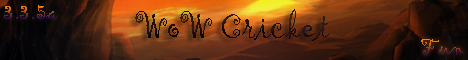 WoW-Cricket Fun Banner
