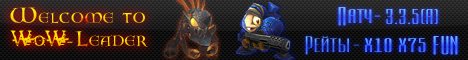 WoW-Leader Banner